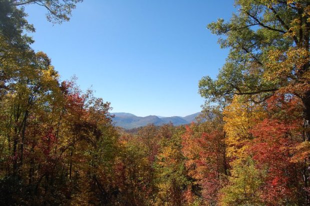 Can’t wait to be back in Gatlinburg, Tennessee. Too bad we’re missing the fall foliage!
