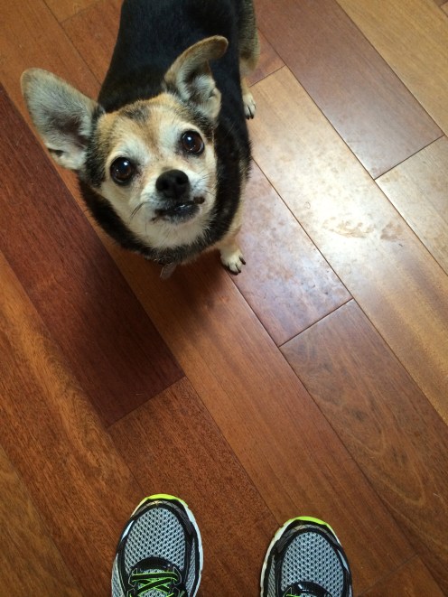 This is Pez. We found her in a box when I was 16.