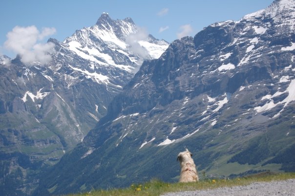 It's a big ol world out there (Switzerland, 2009)