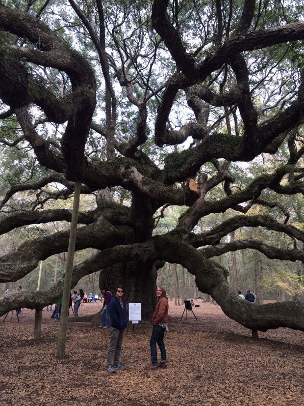 Angel Oak.
