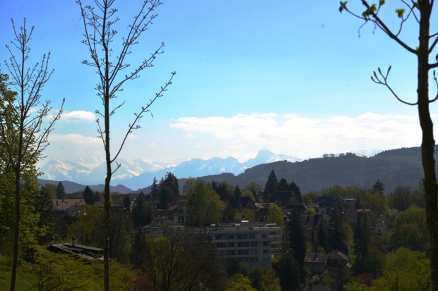 View of the Alps from Rosengarten.
