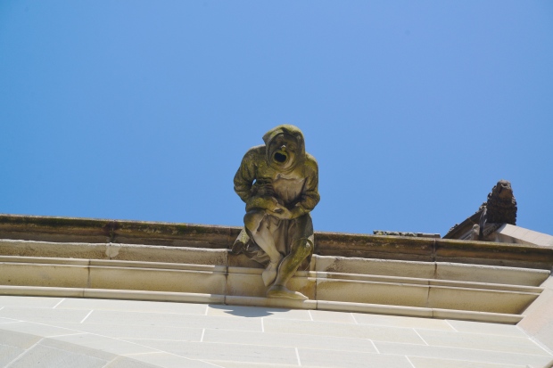 This guy was on the ledge of the church when you looked up.