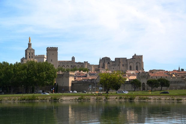 The view of Avignon from across the Rhone River.