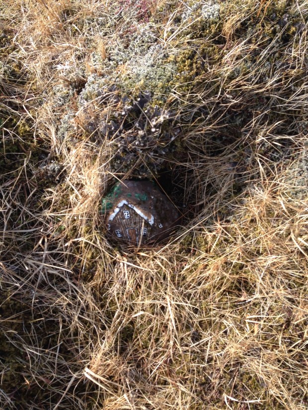 The tiny elf house we found outside the cabin.