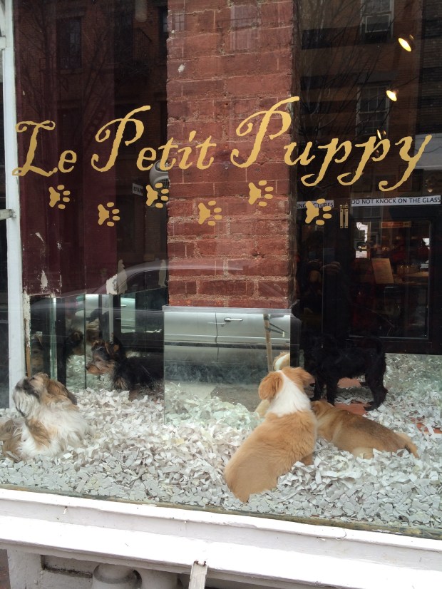 Jeremy had to pry my face away from this store's window. 