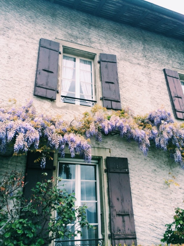 Processed with VSCOcam with c1 preset