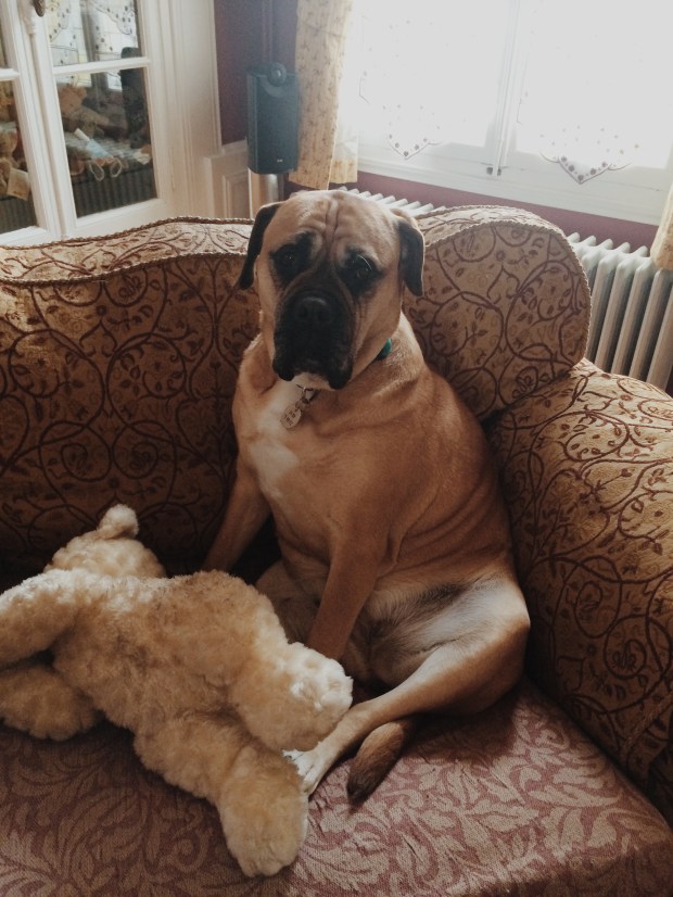 Processed with VSCOcam with m5 preset