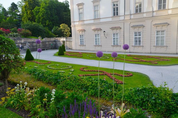 I'm such a sucker for plants that look like they belong in a Dr. Seuss book. 