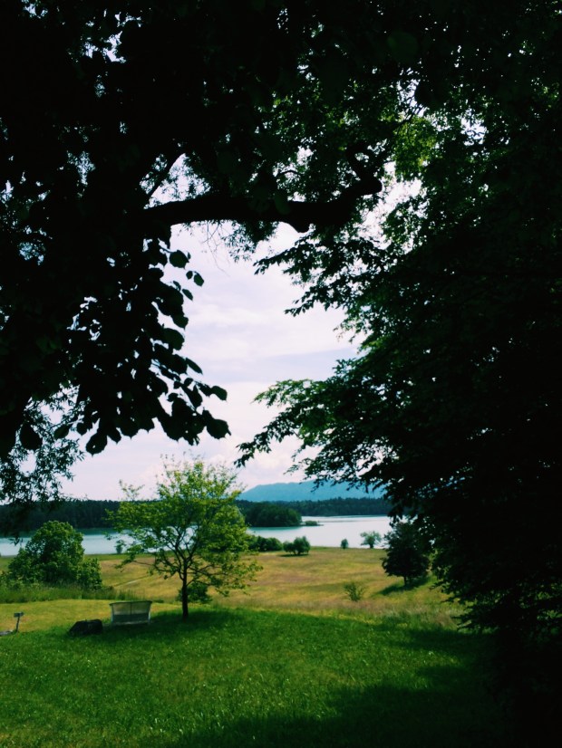 Processed with VSCOcam with c1 preset