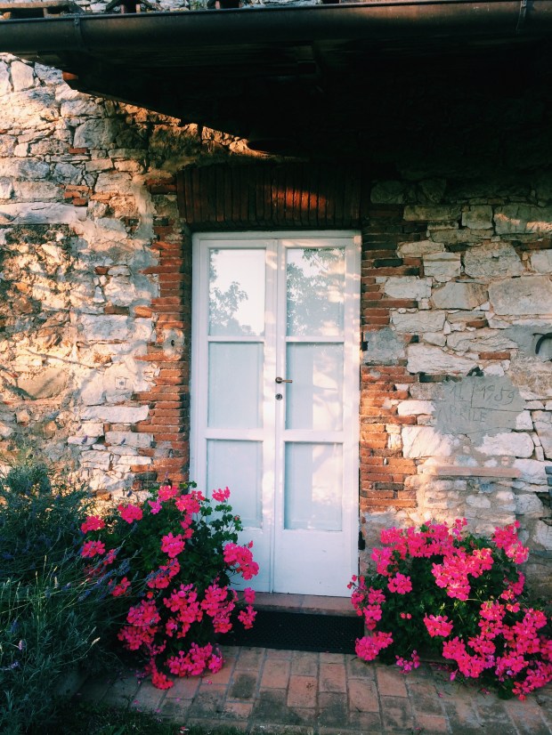 Processed with VSCOcam with c1 preset