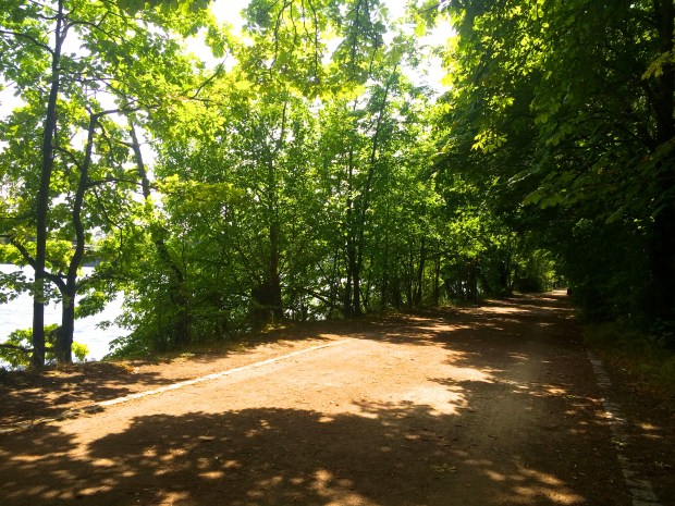 Dirt path along the river.