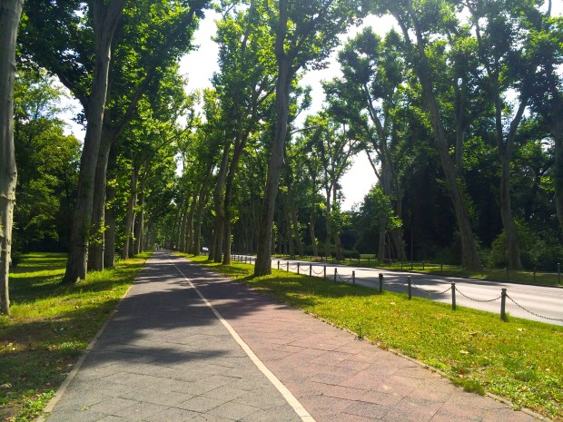 Pedestrian paths for days.