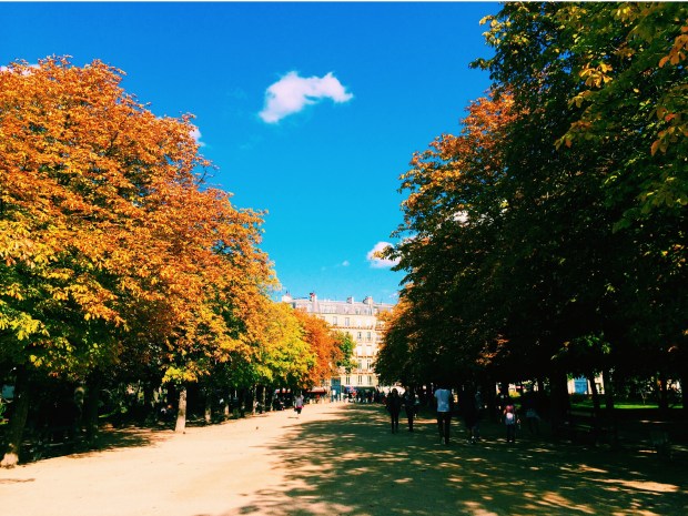Looking straight up like fall over here.