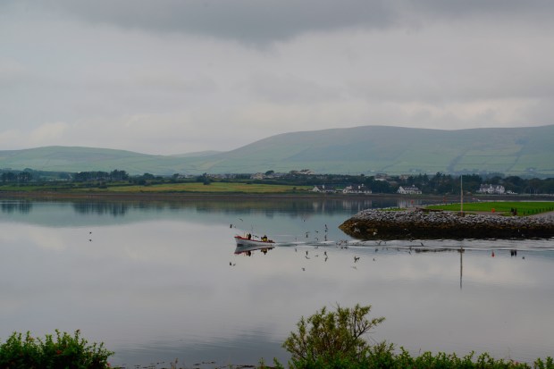 View from our little house.