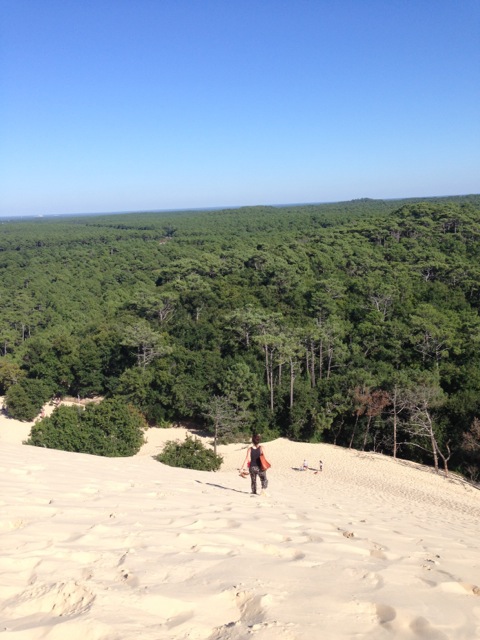 You can run down the dunes as fast as you can without feeling like you're going to fall face-first into the sand. It's so fun.