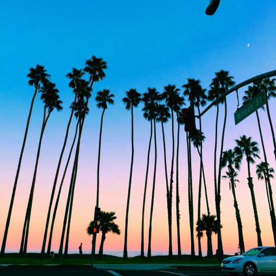 The old stomping grounds. 