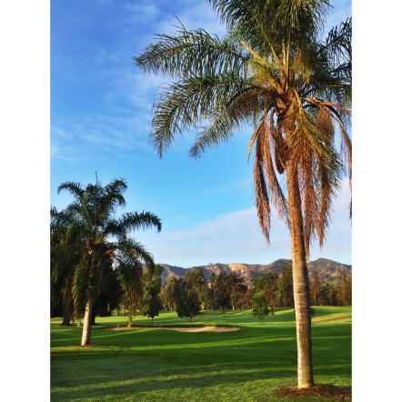 Found a nice trail near where I live and I saw lots of other runners. 