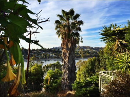 Signed a lease for a new apartment, got settled in Silver Lake. 