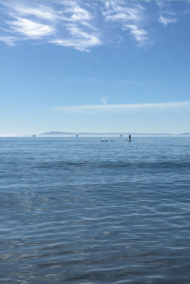 This guy is SUPing (stand-up paddleboarding) with dolphins. 