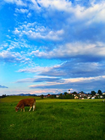 Had a housesitting assignment in Bavaria, south of Munich. 