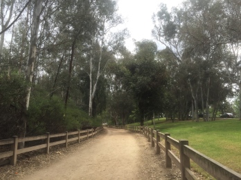 A lot of my route was on this nice dirt path in Griffith Park. 